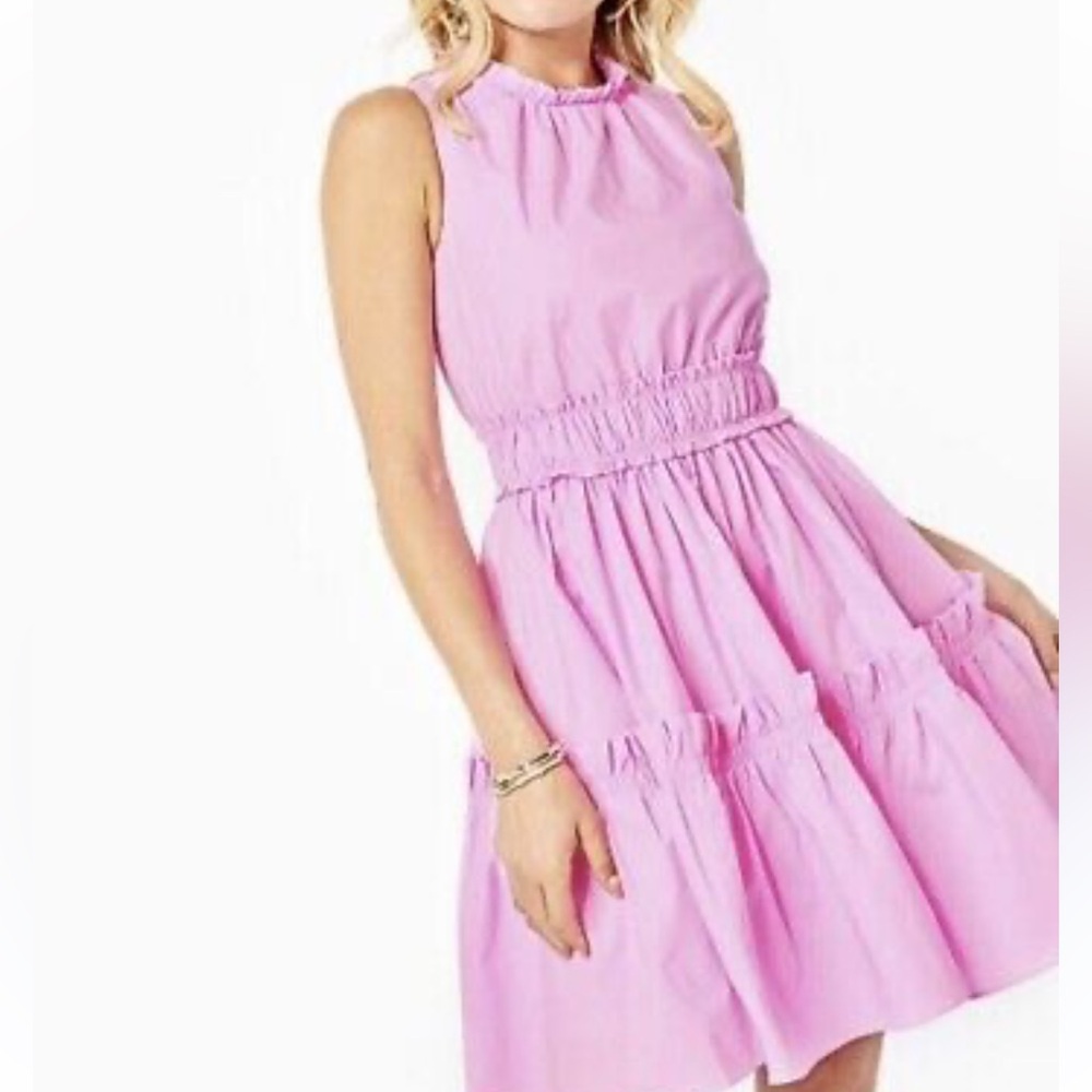 Eliana stretch dress